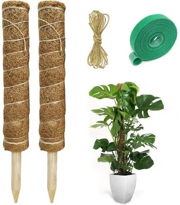 Obrázek produktu pro Stojan na popínavé rostliny – 2 ks – 40 cm – včetně jutového provázku a kabelu