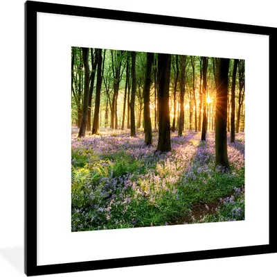 Produktbild von MuchoWow® Gerahmtes Poster Wald - Blumen - Lavendel - Sonne - Lila - Natur 40x40 cm - Poster mit Schwarzem Bilderrahmen Wandposter Rahmen Foto Bilder - Poster - Plakat im Rahmen
