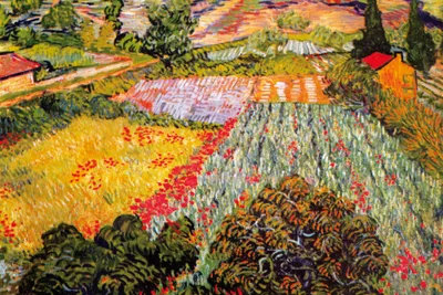 Zdjęcie produktu dla Vincent Van Gogh Art Print Obraz - Pole maków, 1889 (80 x 120 cm)