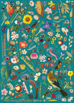 Zdjęcie produktu dla GIBSONS Flower Fantasy Puzzle 1000 elementów