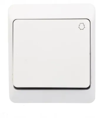 Image de Interrupteur simple Classique Elektro-Plast blanc 0336-02