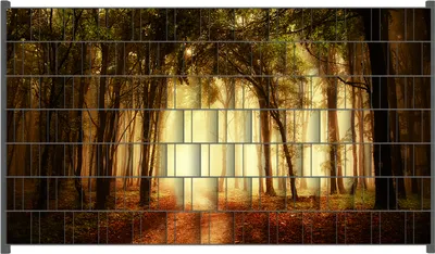 Produktbild von Wallario Zaunsichtschutz mit Motiv Sonnenuntergang auf dem Waldweg für Ein- und Doppelstabmatten Zäune in der Größe 250 x 140 cm