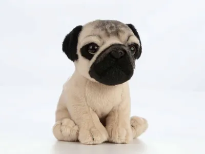 Produktbild von Living Nature Plüsch Mops Welpe Kuscheltier Hund 15 cm Geschenk
