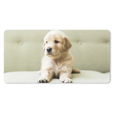 Produktbild von MuchoWow® Mauspad Mousepad Golden Retriever Welpe auf dem Sofa liegend 60x30 cm - Mousepads - Maus Mat - Pad - Mausunterlage - Nachhaltig