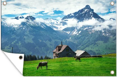 Produktbild von MuchoWow®