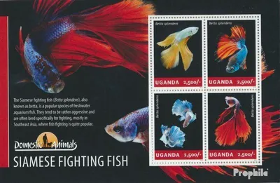 Produktbild von Briefmarken Uganda 2014 Mi 3275-3278 Kleinbogen (kompl.Ausg.) postfrisch Kampffisch
