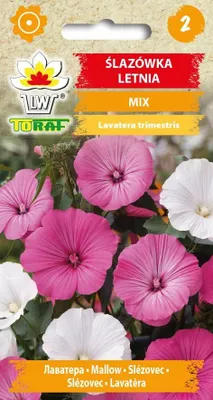 Zdjęcie produktu dla Ślazówka letnia MIX Nasiona kwiatów - 661 Toraf