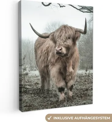 Produktbild von MuchoWow® - Leinwandbilder - Schottische Highlander - Natur - Herbst - Tiere - Wildtiere - Wald, Wandbild, Wanddeko Bilder Wohnzimmer, 60x80 cm