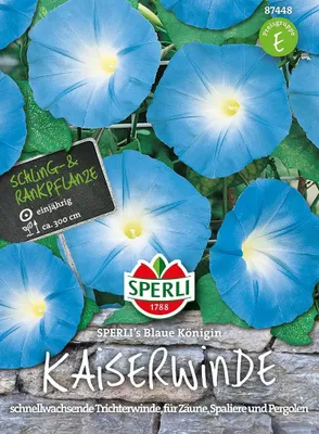 Produktbild von Kaiserwinde ''SPERLI's Blaue Königin''