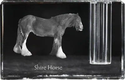 Productafbeelding van Graafschap kristallen pennenhouder met paard Art-Dog