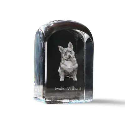 Imagen del producto de Art-Dog Pisapapeles – Vallhund sueco