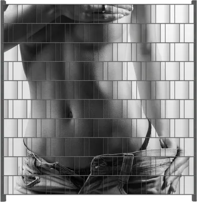 Produktbild von Wallario Zaunsichtschutz mit Motiv Halbnackte Frau mit Jeans für Ein- und Doppelstabmatten Zäune in der Größe 200 x 200 cm