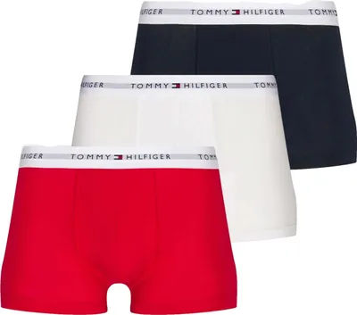 Immagine prodotto di Slip Tommy Hilfiger UM0UM027610UB da Uomo