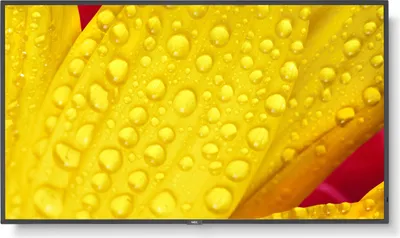 Image de NEC Display MultiSync M551-2 - 140 cm (55 pouces) de diagonale (138,8 cm (54,5 pouces))