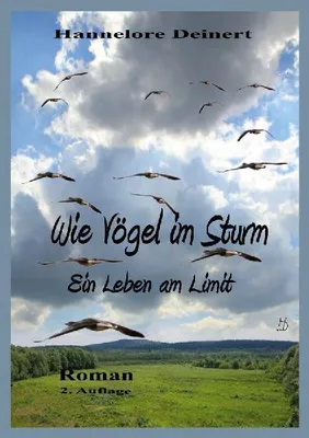Produktbild von Wie Vögel im Sturm