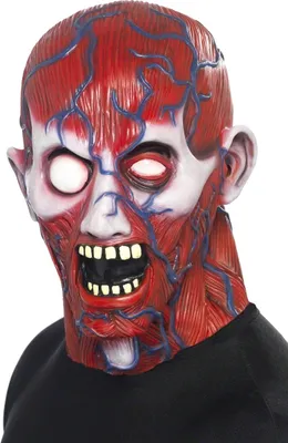 Produktbild von Anatomiemaske für Herren Gruselmaske Anatomie Herrenmaske Horror Halloween Maske