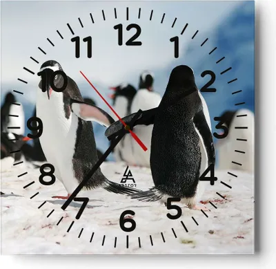 Produktbild von Wanduhr - Quadrat - Glasuhr - Pinguine Winter Natur Schnee - 30x30cm - Schleichendes Uhrwerk - Lautlos - zum Aufhängen bereit - Dekoration Modern - Wanddekoration aus Glas - C4AC30x30-2974