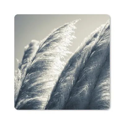 Produktbild von MuchoWow® Mauspad Mousepad Pampasgras - Schwarz - Weiß - Natur 30x30 cm - Mousepads - Maus Mat - Pad - Mausunterlage - Gaming