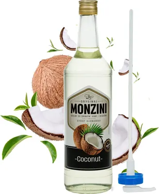 Image de Sirop de barre aromatisé à la noix de coco Monzini 1 L