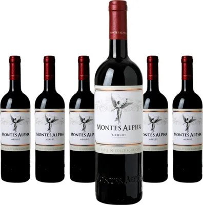 Produktbild von 6 x Montes Alpha Merlot