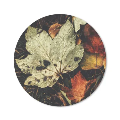 Produktbild von MuchoWow® Mauspad Mousepad Herbstblätter - Herbst - Jahreszeiten - Natur 20x20 cm - Mousepads - Maus Mat - Pad - Mausunterlage - Schreibtischmatte