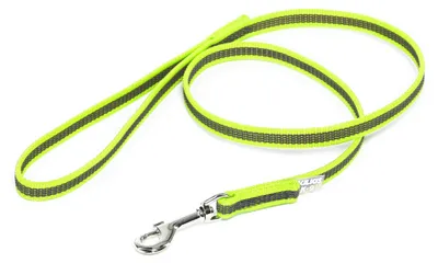 Image de Color & Gray - Laisse caoutchoutée - Gris fluo 14 mm / 1 m avec boucle, pour chiens de 30 kg maximum