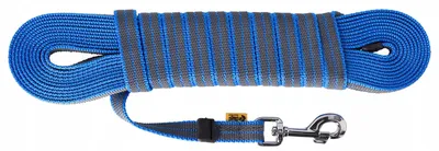 Produktbild von Dingo Gummierte Leine 2 cm x 5 m Ohne Griff Blau