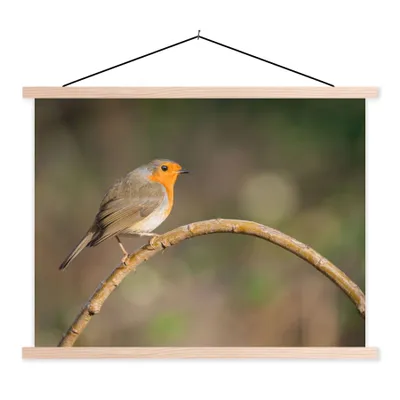 Produktbild von MuchoWow® Textilposter Rotkehlchen - Vogel - Natur 120x90 cm mit holzfarbenen Rahmen - Magnetisch