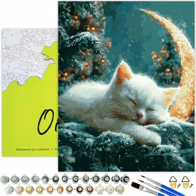 Produktbild von Malen nach Zahlen Erwachsene & Kinder Tiere Katze Mondnacht 50x40 - 30 Acrylfarben, Leinwand mit Holzrahmen, 3 Pinseln und Zubehör Oh Art!
