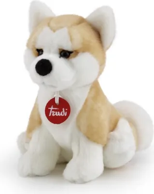 Image de Trudi Akita Ascanio