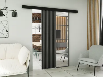 Obrázek produktu pro KIER FURNITURE Nástěnné posuvné dveře se zrcadly MOLI MOLI 100 - 106x205x1,6 cm - grafit