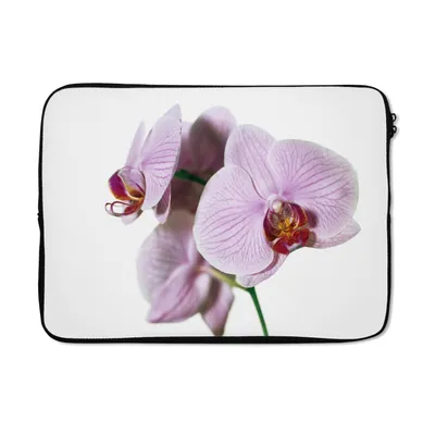 Produktbild von MuchoWow® Laptop Hülle 13 Zoll Rosa Orchideenblüte Laptoptasche - Laptophülle - Sleeve - Rundumschutz