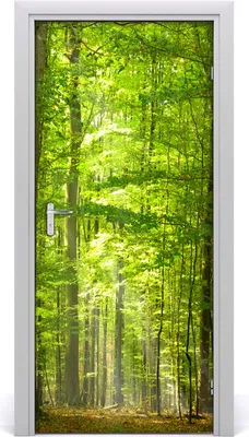 Produktbild von Tulup Türaufkleber 95x205 cm Dekorative Aufkleber Selbstklebend Wasserdichte Tapete Abnehmbar Schlafzimmer Wohnzimmer Wohnkultur - Buchenwaldlandschaften