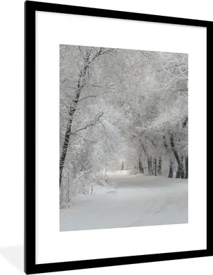 Produktbild von MuchoWow® Gerahmtes Poster Bäume - Schnee - Winter 60x80 cm - Poster mit Schwarzem Bilderrahmen Wandposter Rahmen Foto Bilder - Wohnzimmer - Dekorationen - Prämie