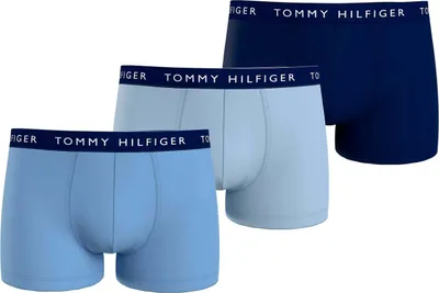 Image de Boxer Tommy Hilfiger UM0UM022030W4 pour Homme