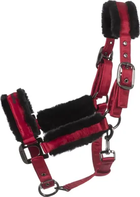 Immagine prodotto di Cavallo JERO Elegante cavezza rubino scuro Horsefashion 2025, taglia:GP