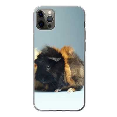 Produktbild von MuchoWow® Handyhülle Schutzhülle Hülle für iPhone 13 Pro Max Zwei kleine Meerschweinchen Silikon Softcase Handy Hülle - Mobiltelefon