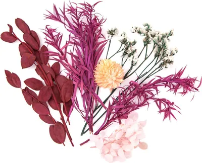 Immagine prodotto di Fiori decorativi secchi rosa bordeaux