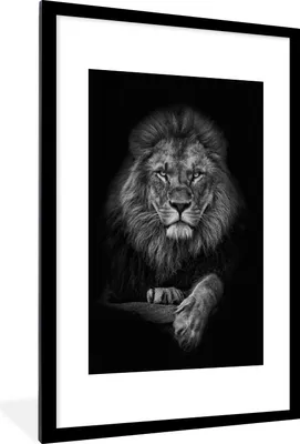Produktbild von MuchoWow® Gerahmtes Poster Löwe - Tiere - Schwarz - Weiß 60x90 cm - Poster mit Schwarzem Bilderrahmen Wandposter Rahmen Foto Bilder - Dekoration - Wandposter Wohnzimmer - Hochwertig