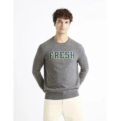 Produktbild von Celio Wollpullover Cenormal 1113966__S