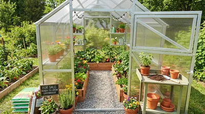 Image de Serre en polycarbonate de Garten Dream "Victoria Mini" 2,5x8m avec polycarbonate 4mm