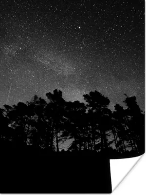 Produktbild von MuchoWow® Poster Sternenhimmel - Wald - Himmel - Schwarz - Bäume 90x120 cm - Wohnzimmer