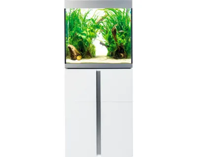 Produktbild von Aquariumkombination Fluval Siena 166 mit LED-Beleuchtung, Heizer, Außenfilter und Unterschrank 166 l Weiß 55 x 55 x 128