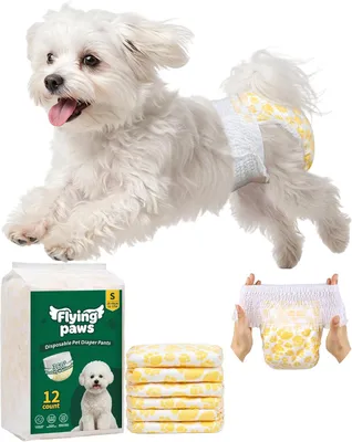 Imagen del producto de Pañales desechables para perros, unisex, con cintura elástica de 360°, talla S (28-44 cm), 12 unidades, para perros