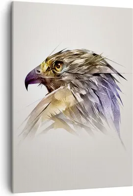 Produktbild von Bild auf Leinwand - Leinwandbild - Einteilig - Adler Vogel Feder - 50x70cm - Wand Bild - Wanddeko - Wandbilder - Leinwanddruck - Kunstdruck - Wanddekoration - Leinwand bilder - Wandbild - PA50x70-3936