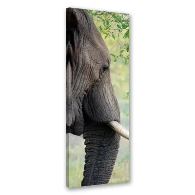 Produktbild von Leinwandbild Elefant Tier Afrika 30x90 Feeby Grau bild für die wand bereit zum aufhängen