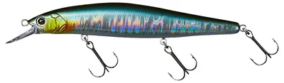 Produktbild von DAIWA Steez Minnow 110SP-SR, Minnowbait, 11cm, special shiner, 110 mm, 1Stk., 17521-003