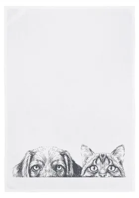 Produktbild von Geschirrtuch - Hund und Katze