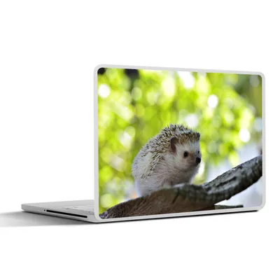 Produktbild von MuchoWow® Laptop Aufkleber Sticker Cover Kleiner Igel im Baum 30x21 cm - Sticker für Laptop - Selbstklebend