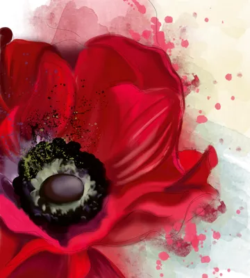 Produktbild von Fototapete - Poppy 225x250cm - Vliestapete